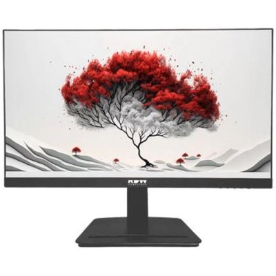 Монитор 23.8" RDW Computers RDW2401K черный IPS 4ms HDMI M/M HAS Piv 350cd 178гр/178гр 1920x1080 VGA DP FHD USB (RUS)