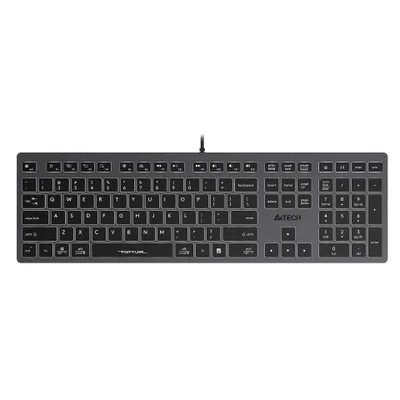 Клавиатура проводная A4Tech Fstyler FX60 серый/белый