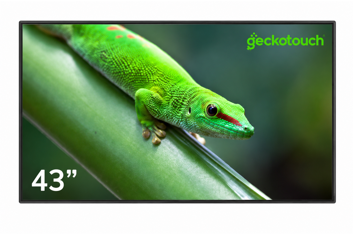 Профессиональный дисплей Geckotouch 43DCR 43 дюйма, 4K, Android 14