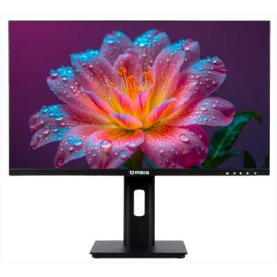 Монитор IRBIS SMARTVIEW 27'' LED Monitor 1920x1080, 16:9, IPS, 300 cd/m2, 1000:1, 3ms, 178°/178°, VGA, HDMI, DP, USB, 100Hz,Tilt,Height,Swivel,Pivot,Speak, внутр бп, VESA для mini ПК Black 3y (China)