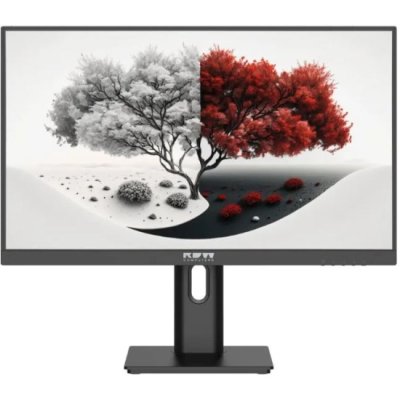 Монитор RDW Computers 23.8" 2401K черный IPS 4ms HDMI 300cd 178гр/178гр 1920x1080 100Hz VGA DP FHD 4.185кг (RUS)
