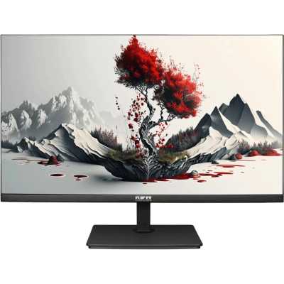 Монитор RDW Computers 23.8" RDW2401K черный IPS 4ms HDMI M/M HAS Piv 350cd 178гр/178гр 1920x1080 120Hz VGA DP FHD USB (RUS)