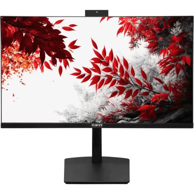 Монитор 23.8" RDW Computers RDW2402K IPS 1920x1080, 100 Гц, 4 мс, 16:9, 300 кд/м², VGA, HDMI 1.4, DP 1.2, USB-C, 3.5 Jack, USB Hub (2x USB 3.2), динамики (2x3 Вт), веб-камера (5 Мп), микрофон, черный