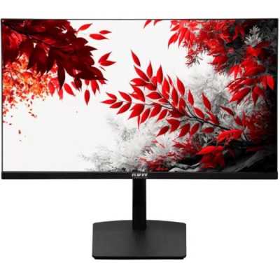 Монитор RDW Computers 31.5" RDW3207 черный IPS 1ms HDMI M/M Piv 300cd 178гр/178гр 1920x1080 75Hz VGA FHD USB (RUS)