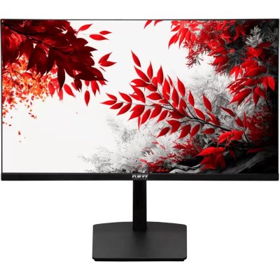 Монитор RDW Computers 31.5" RDW3207 черный IPS 1ms HDMI M/M HAS Piv 350cd 178гр/178гр 2560x1440 100Hz VGA DP QHD USB (RUS)