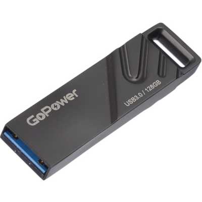 Флеш-накопитель GoPower 00-00025959