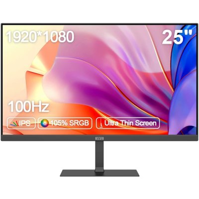 Монитор ELSA EA251Q черный/25"/FHD 1920*1080/100Hz/IPS/Speaker/VESA
