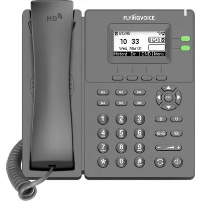 Телефон IP Flyingvoice P20G серый (упак.:1шт)