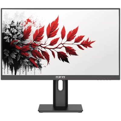 Монитор RDW Computers 27" 2701K черный IPS 5ms HDMI 300cd 178гр/178гр 1920x1080 120Hz VGA DP FHD 4.185кг (RUS)