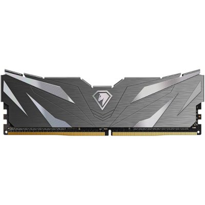 Оперативная память NETAC, DDR4, 16GB (1x16GB), 2666MHz, CL19, DIMM, с радиатором, черный
