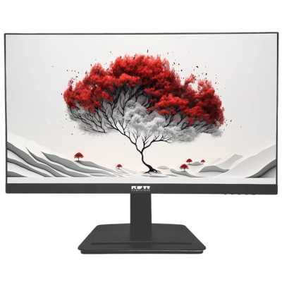 Монитор 23.8" RDW Computers RDW2401K IPS 1920x1080, 120 Гц, 5 мс, 16:9, 300 кд/м², VGA, HDMI 1.4, DP 1.2, 3.5 Jack, динамики (2×2 Вт), черный, в реестре Минпромторга